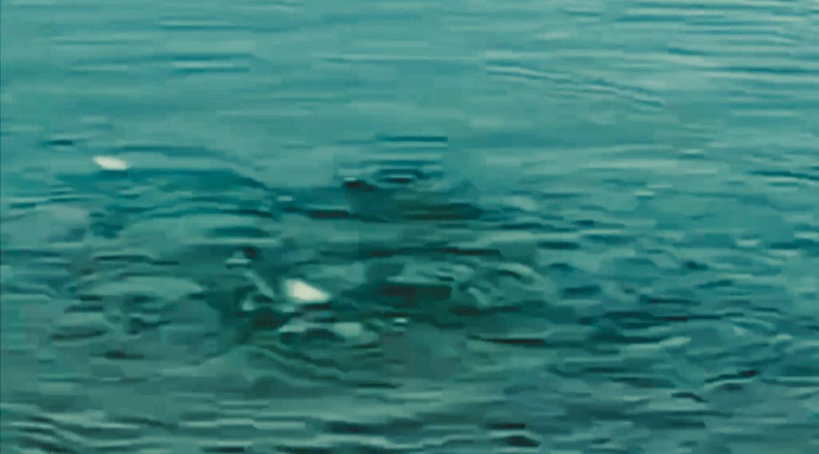 Фото: соцсети  На поверхности воды в Азовском море замечены пузыри 