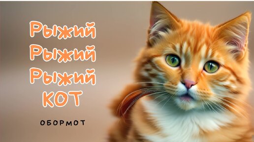 включи видео коты песня. петы кошки белые. видео поющие котята. включи видео коты песня. кот и музыка.