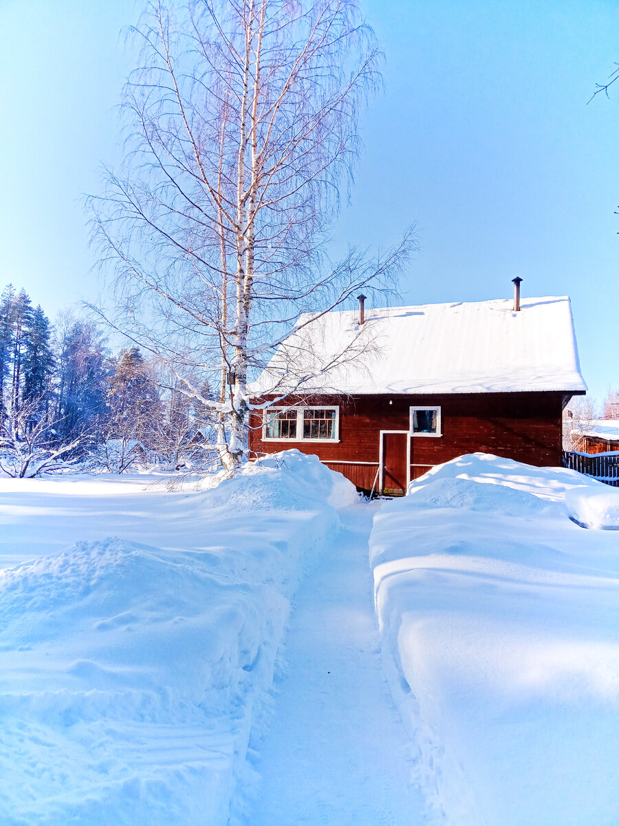 Зимует в деревне Модно. Наш дом с "не парадной" стороны