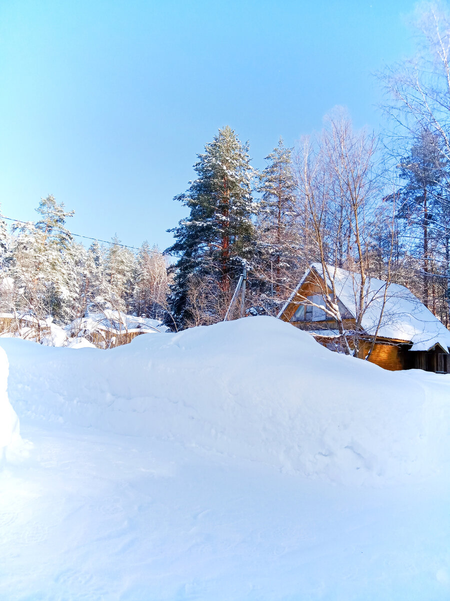Вот такие сугробы в Вологодской области к февралю