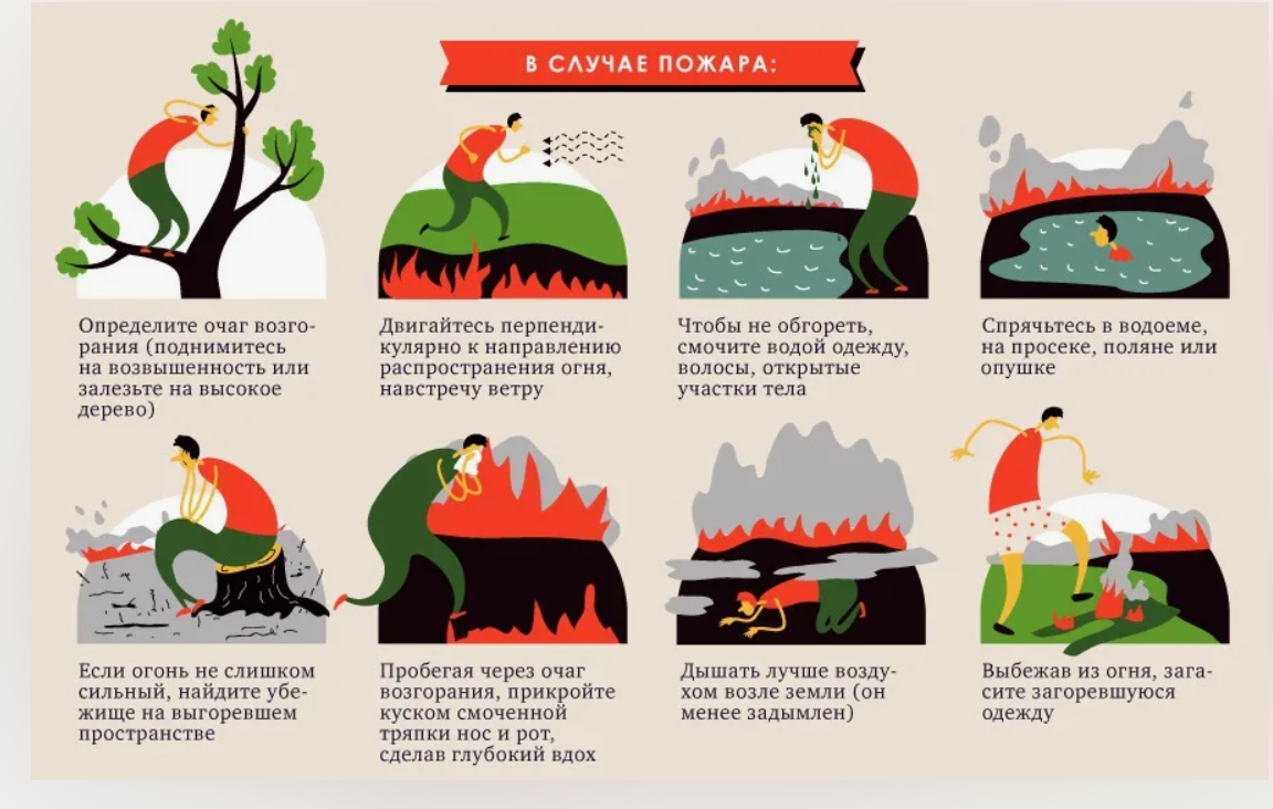 Если вы оказались на этой. Алгоритм действий при пожаре в лесу. Алгоритм действий при пожаре в лесу памятка. Действия человека при пожаре в лесу. Очередность действий человека при возникновении пожара в лесу.