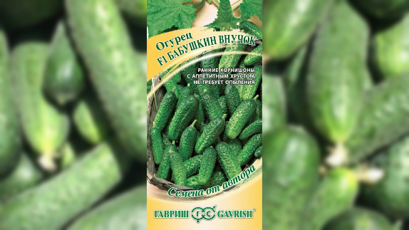 Огурцы Бабушкин внучок. Они цилиндрической формы, небольшие: 6-8 см