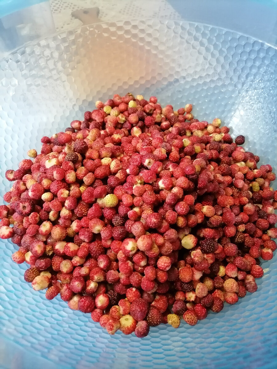 Деревенская земляника 