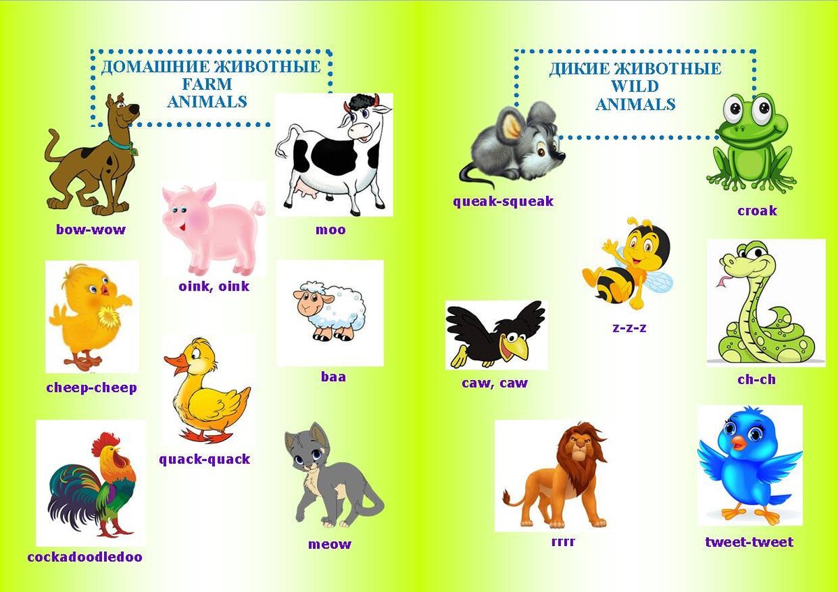 животные по англ. животные нкаанлийском. животные на английском для детей. животные на английском для детей. животные на английском 2 класс с переводом на русский.