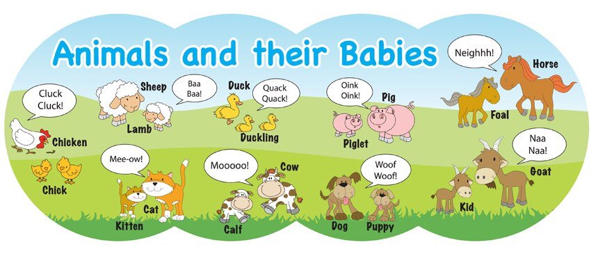 люблю английский язык. мне нравится английский язык. мне не нравится на английском. нравится на англ. я люблю английский.