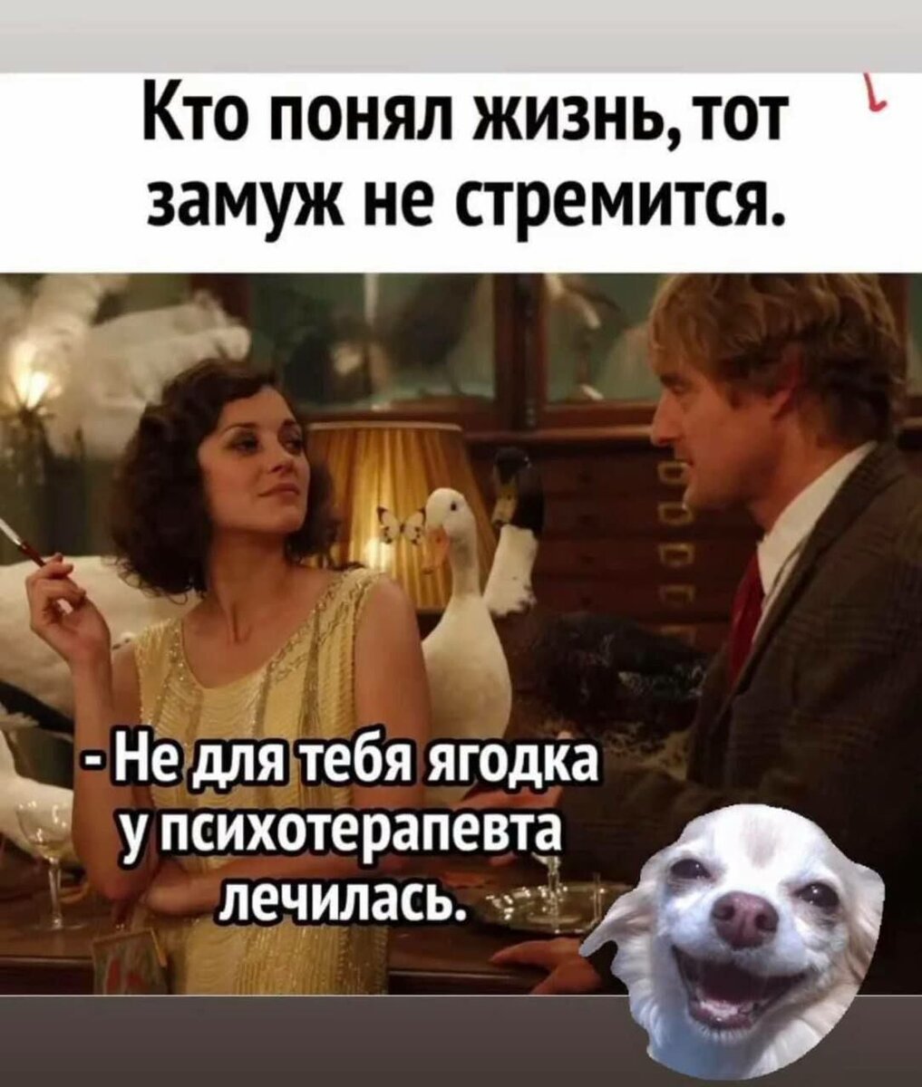 Чисто я после первого приема у нового терапевта