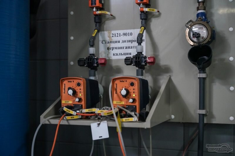    Фото: Лидия Аникина © ИА «Уральский меридиан» Юлия Баталова