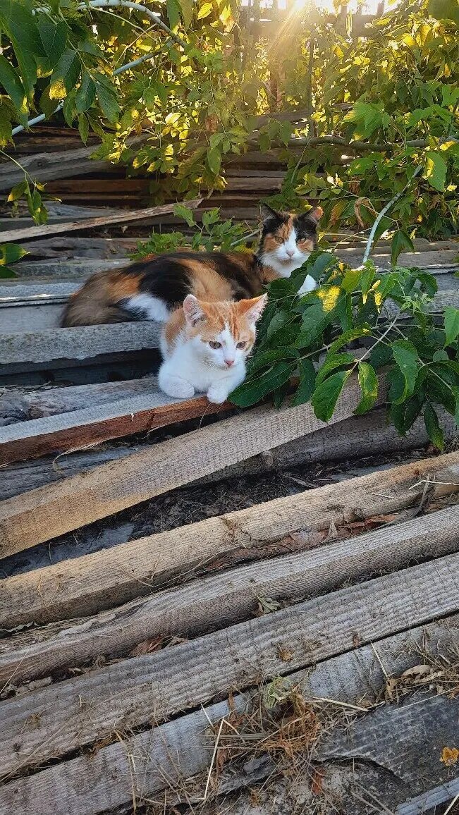 Фото автора.