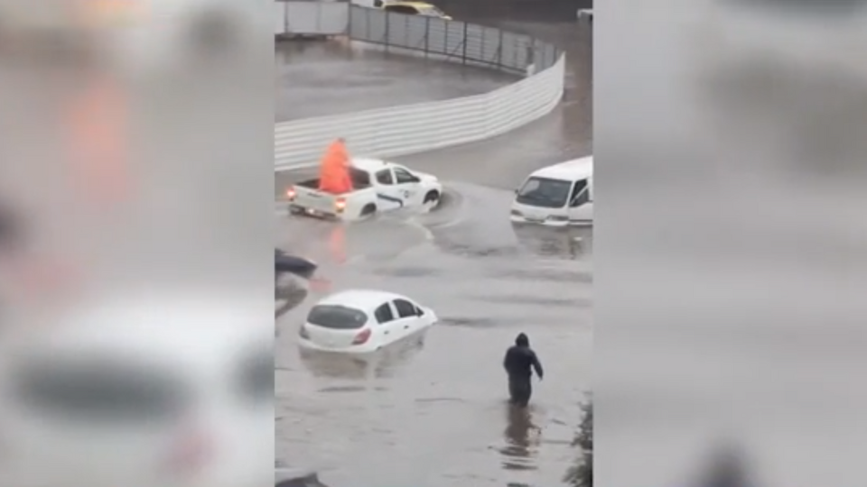 Фото: скриншот видео 