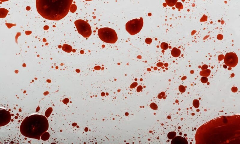 Фото freepik.com