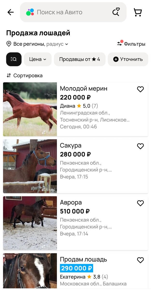 Самое  простое, что сделать можно это открыть сайт Авито и посмотреть стоимость лошади. Скрин с сайта объявления Авито на  13.02.2024. 