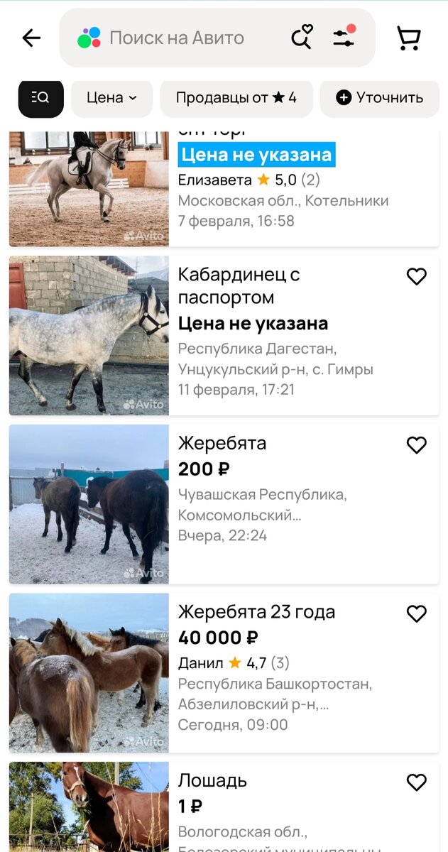 Самое  простое, что сделать можно это открыть сайт Авито и посмотреть стоимость лошади. Скрин с сайта объявления Авито на  13.02.2024. 
