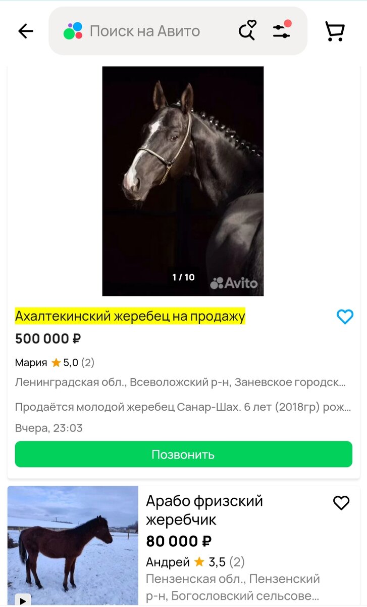 Стоимость лошади и породы 🐎 Самая дорогая лошадь в мире. | И ВСЁ-ТАКИ ЖИТЬ  ХОРОШО 🐬 | Дзен