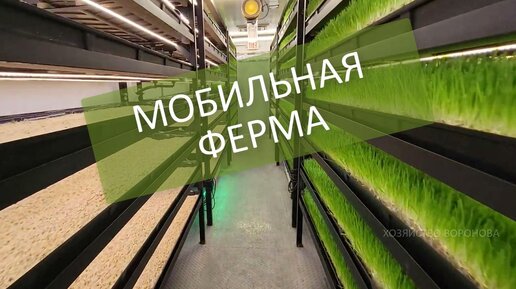 Мобильная ферма из морского контейнера. Для домашней птицы и выращивания зелени