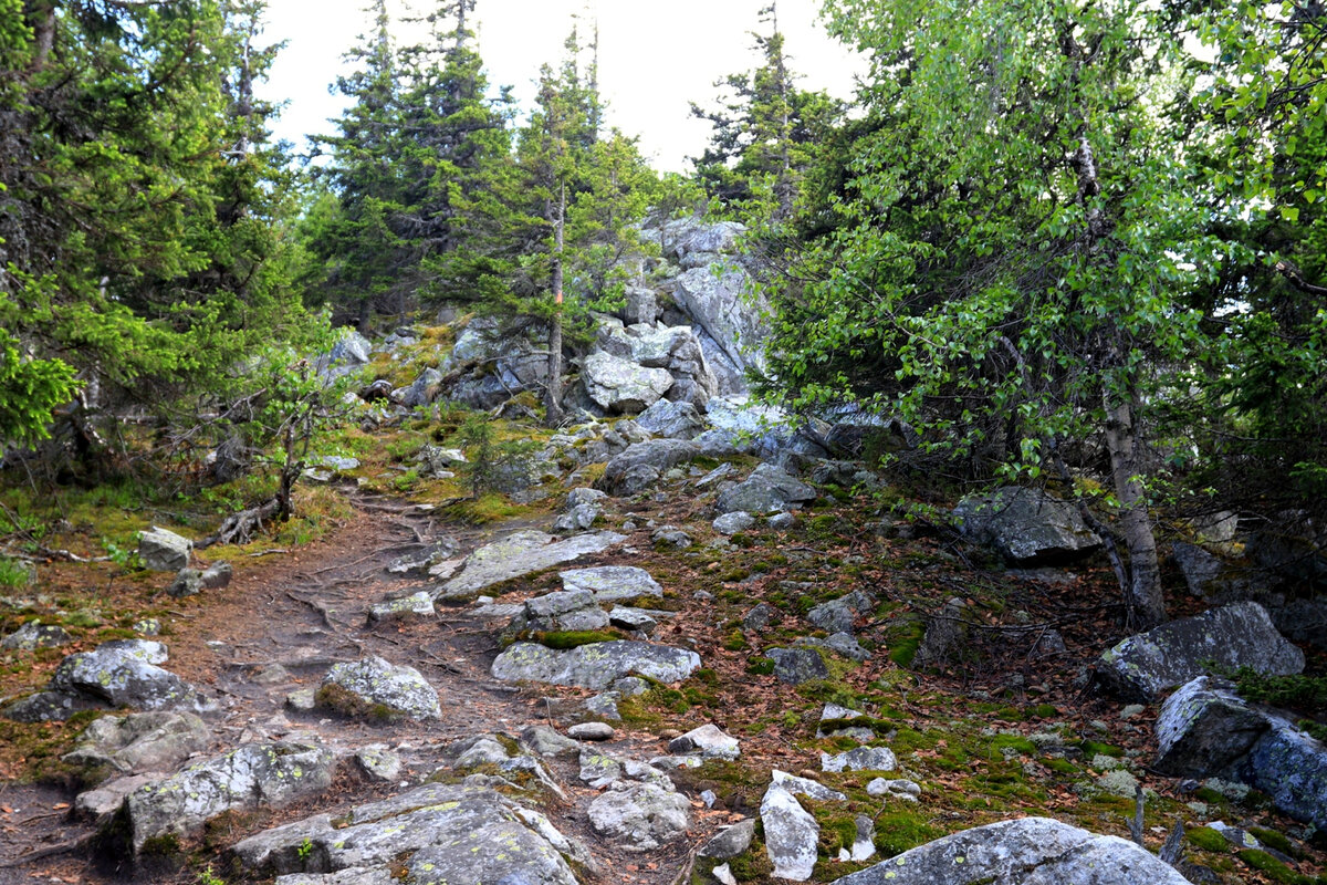 Так выглядит подъём к высшей точке хребта Ялангас. Общую стилистику пейзажа легко спутать, к примеру, с одной из таганайских троп – такая же растительность, такая же скальная порода...