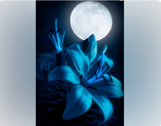 Фото взято из свободных источников.