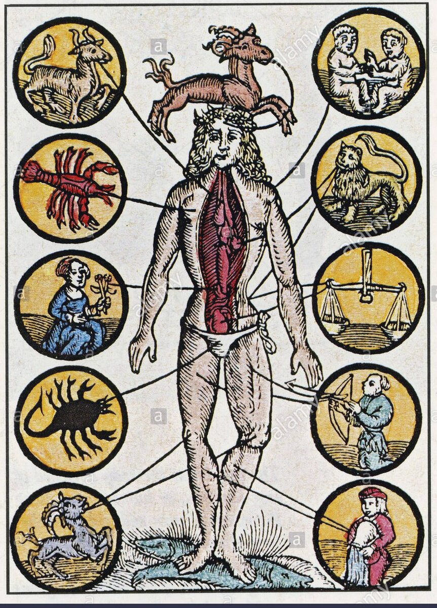 яндекс-картинки