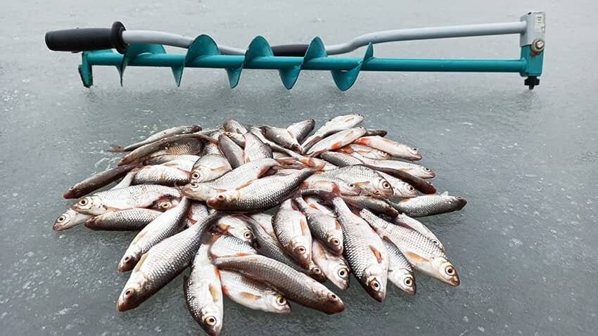 С жерлицами на щуку, со спортивной мормышкой за плотвой 