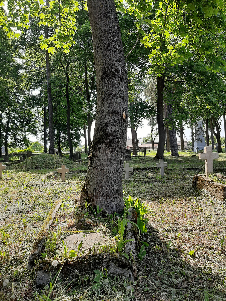 Унп беларусь физического лица. Унп в белоруссии что это. Номер счета получателя в беларусбанке. Номер унп что это. Узнать унп рб.