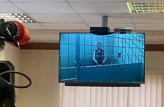    Елена Блиновская.скриншот видео пресс-службы Мосгорсуда