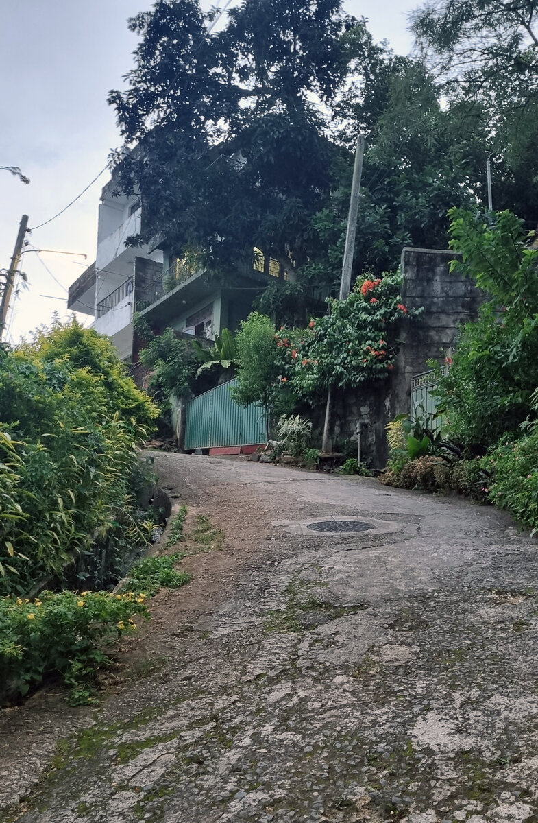 Дорога в Kandy IVY Banks Holiday Resort