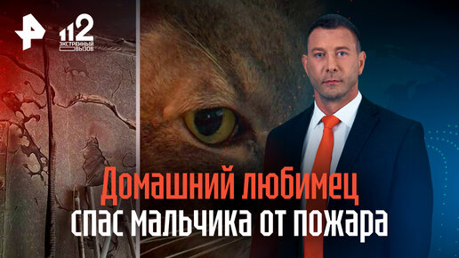 Мчс россии спасение животных. Кот будет спасен. Пожарный спас котенка. Пожарный спасает кота. Кот будет спасен.