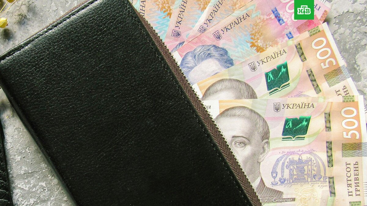    Фото: Karyna Panchenko / unsplash.com