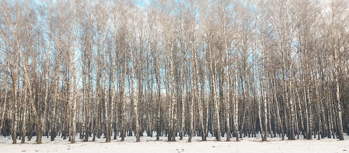 Березовая дом 3. Березовая дом 3. Березовая 3 видное. Ул березовая д 18 видное. Березовая дом 3.