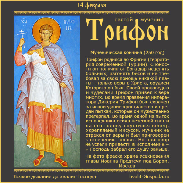 14 февраля – память святого мученика Трифона (250 год).