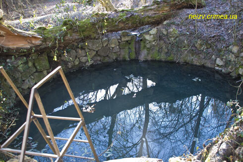 купель источника