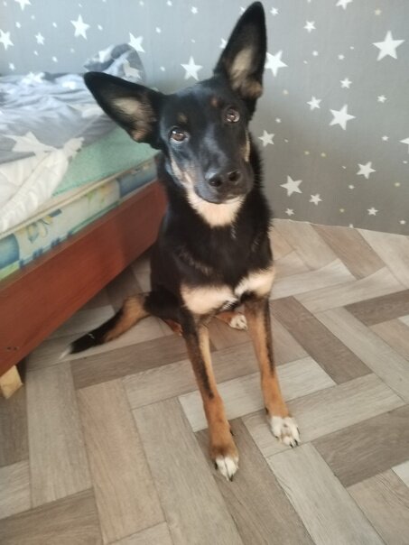 Мила 9 месяцев