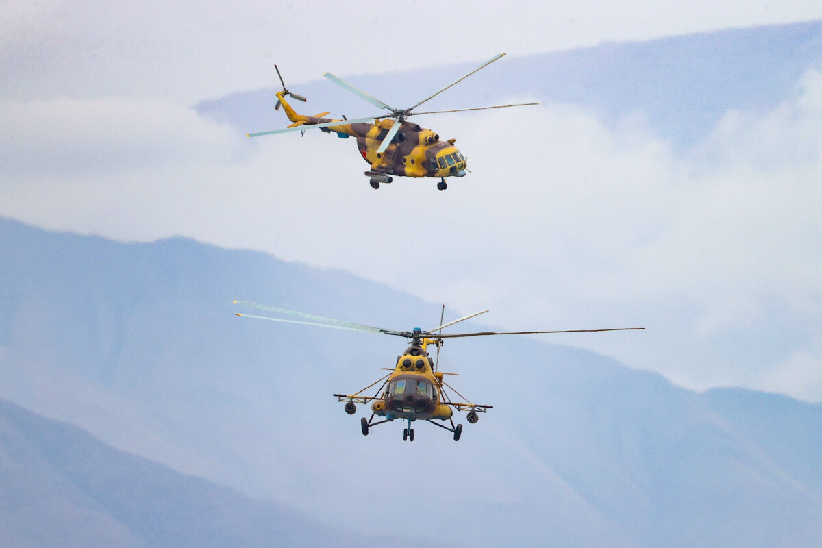 Ми-8. Фото: Petrov Sergey/Globallookpress