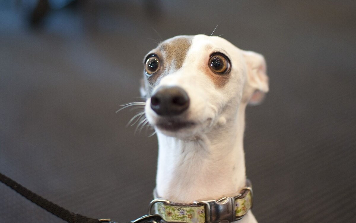 Что-то пошло не так