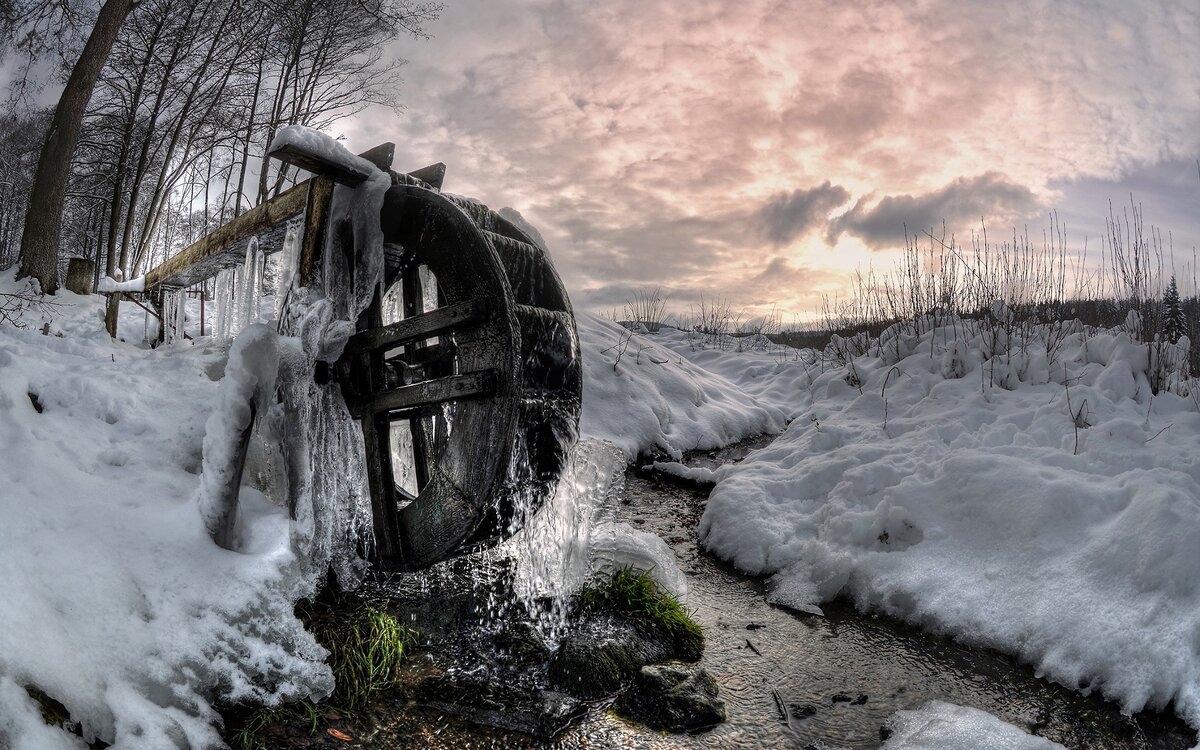 Фото взято с яндекс-картинки
