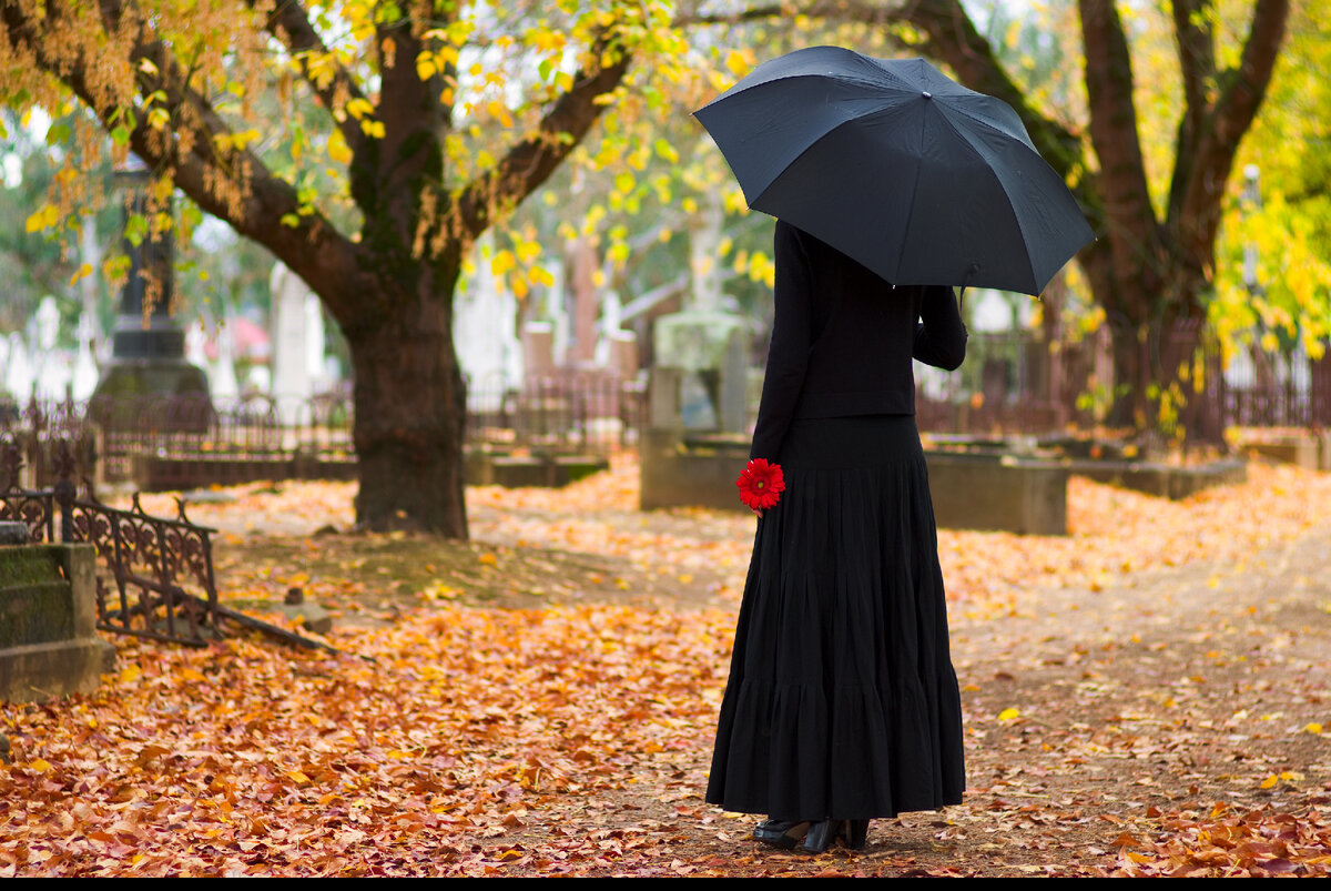 Фото из открытых ресурсов интернета