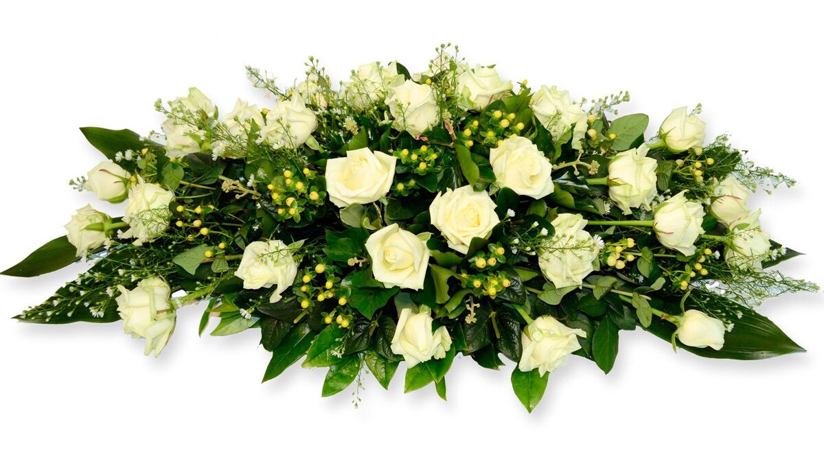 Фото из открытых ресурсов интернета