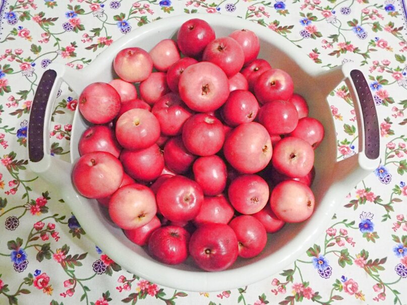 Яблоки, которые подарили мне мои подписчики!