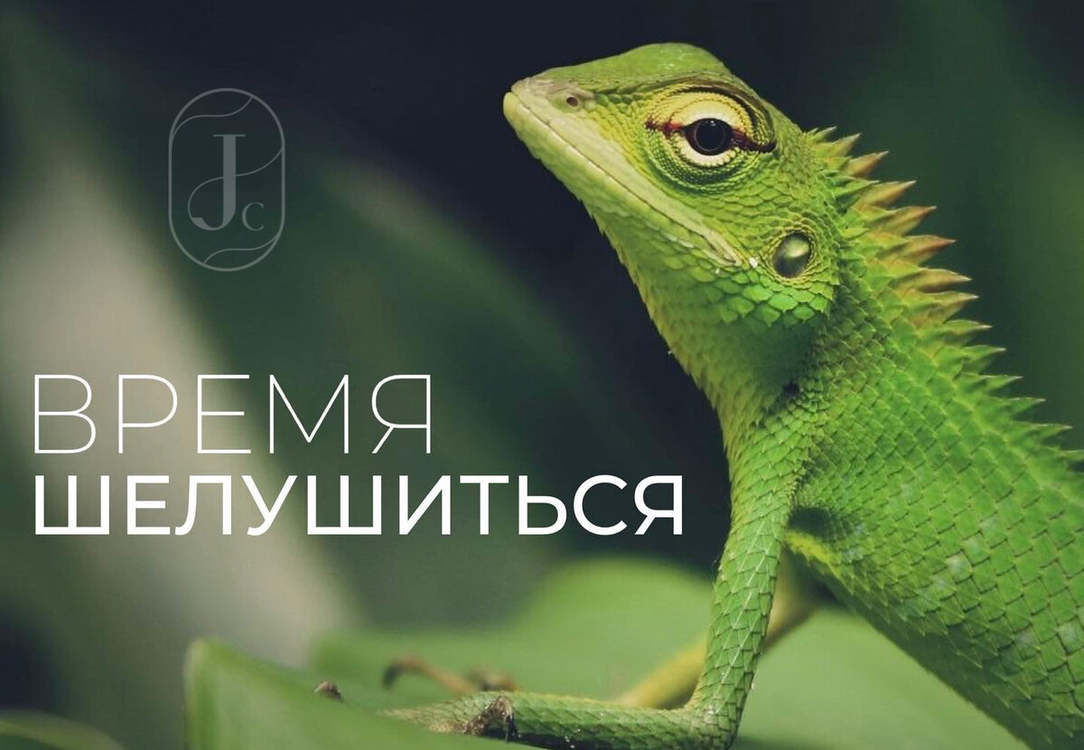 Статья подготовлена врачом Колдашовой Марией Артемовной.