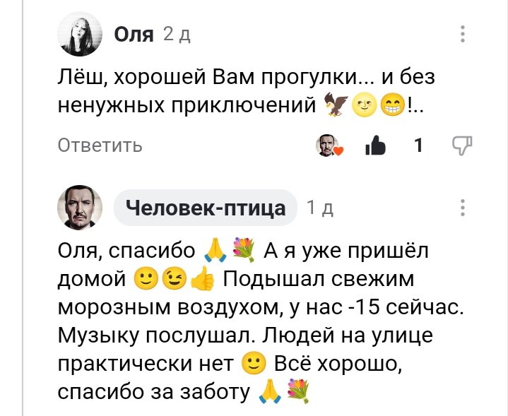 Прогулка в парке. Ваш муж гуляет. Два парня со спины. Ходьба в парке. Прогулка.