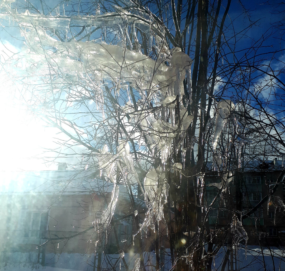 Фото автора - солнышко всё ярче