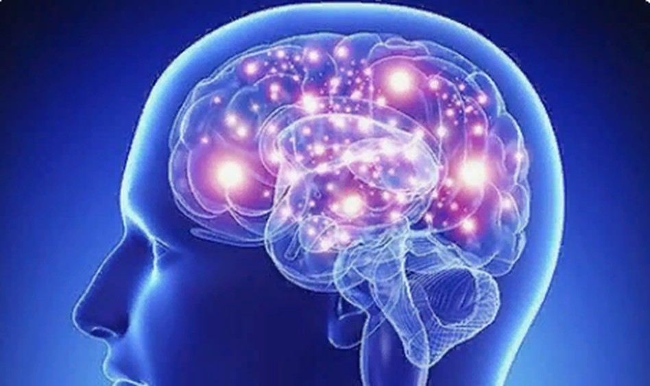 Из открытых источников