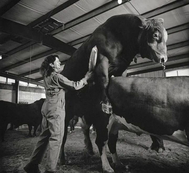 Фото с Яндекс.картинки.