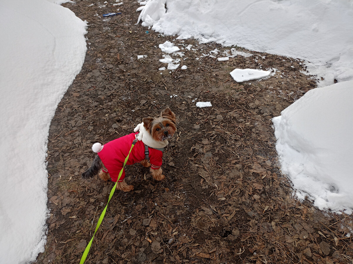 статьи про культуру в газетах. учалинская газета в контакте. газета советская культура 1967 год. газета притоболье курганская область. газета железнодорожников.