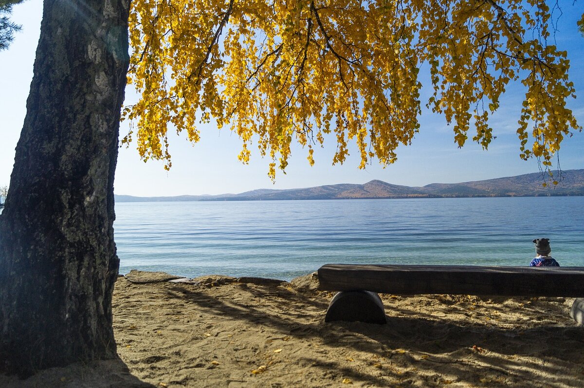 фото с сайта loon.site