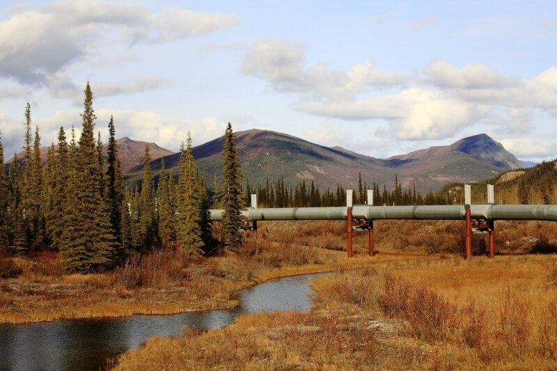    Фото: © Konstantin Mikhailov/Russian Look/Global Look Press