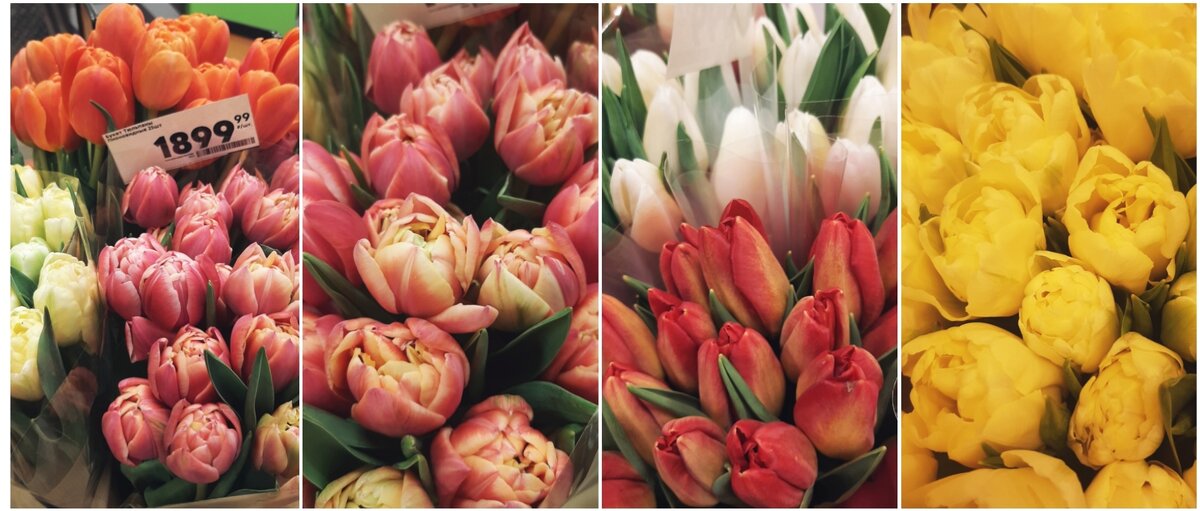 В супермаркетах появились тюльпаны