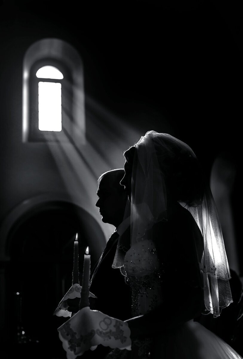 Изображение взято из открытых источников интернета. 