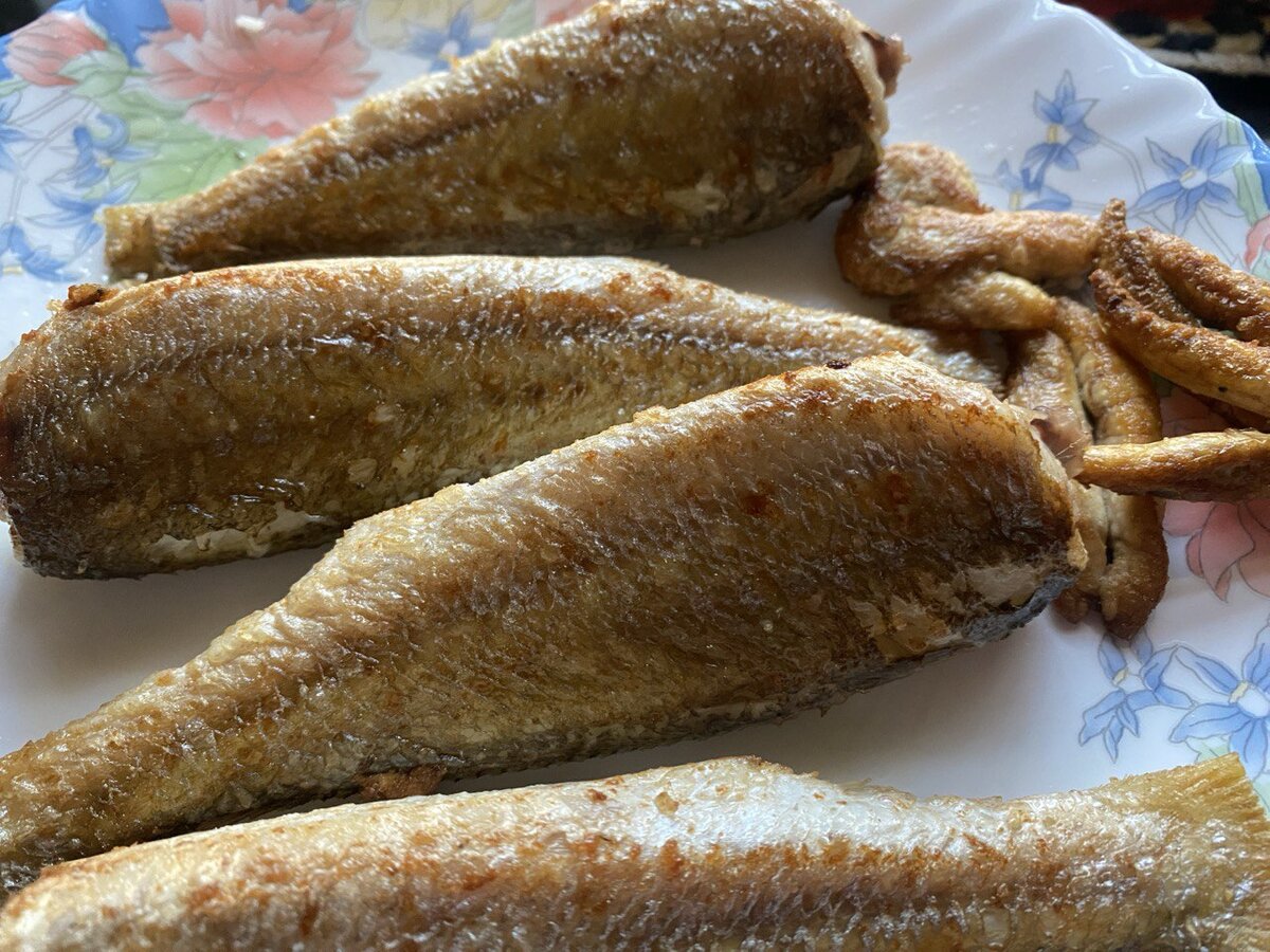 свежезамороженная рыба. свежемороженая рыба. морская рыба и морепродукты. пресноводная рыба еда. рыба.