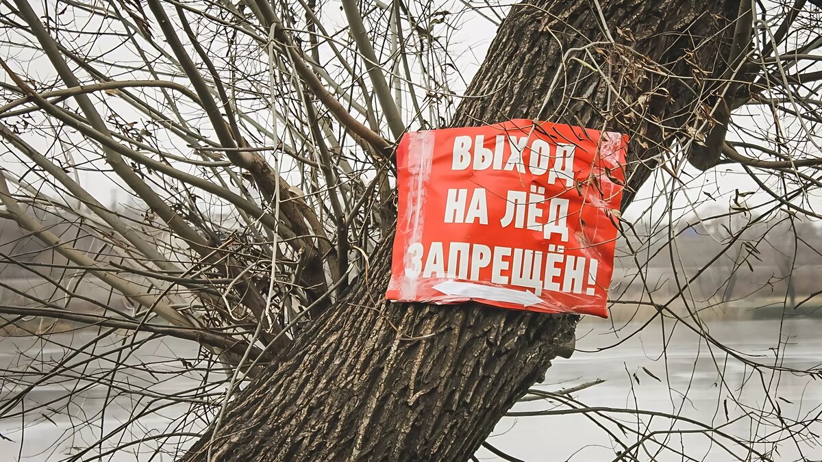     Задача спасателей — сохранение жизни человеку. После первых сообщений об очередном инциденте с машиной, которая ушла под лёд, спасатели внесли ясность в ситуацию с самим потерпевшим нарушителем.