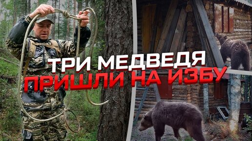 Три медведя пришли на избу! ЛОВУШКА на зверя! #медведьиизба